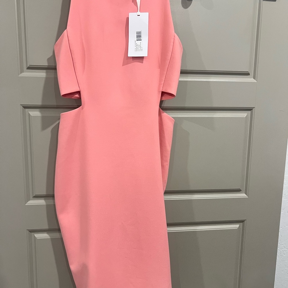 Elizabeth and James Phoenix Pink Backless Dress